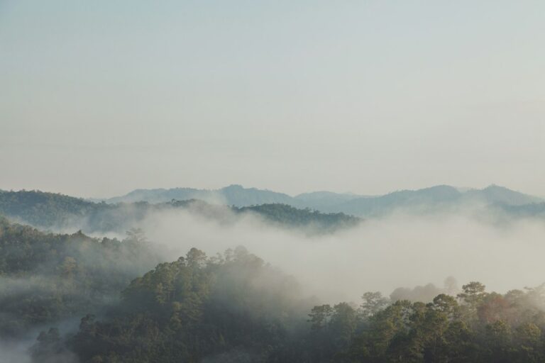 ภาพถ่ายประกอบทั่วไปโดย Rowan Heuvel / Unsplash ไม่ใช่ภาพเหตุการณ์จริงหรือภาพนักแสดง