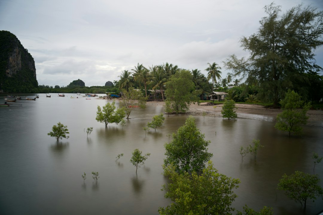 พื้นที่ชุ่มน้ำเขตร้อน ภาพประกอบสถานการณ์ฝน เครดิต Kelvin Zyteng / Unsplash